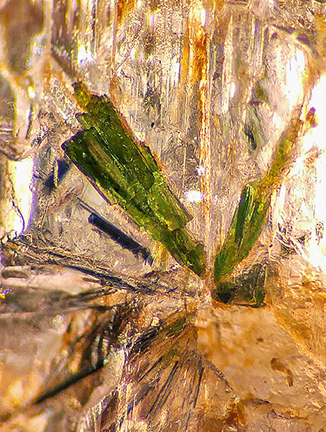 Figure 2. Aegirine inclusion showing sprays of acicular crystals in poudretteite rough from Mogok (darkfield and oblique fiber-optic illumination). Photomicrograph by Kyaw Thu; field of view 0.84 mm.