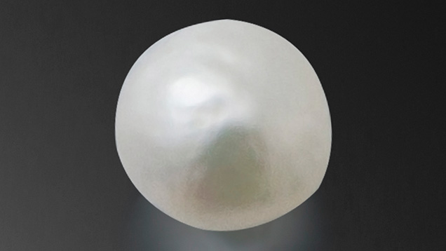 Figure 1. This 1.27 ct white semi-baroque pearl exhibited a typical platy structure when examined under magnification. Photo by Lhapsin Nillapat.