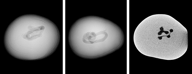 Figure 2. Left: RTX image taken along the pearl’s thickest direction showing a stacked internal structure that could be misinterpreted as a void typically observed in non-bead cultured pearls. Center: RTX image from the flat direction revealing a tubular feature in the center. Right: μ-CT image revealing multiple interconnected rounded voids.