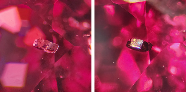 A crystal inclusion in red spinel shown in darkfield illumination (left) and fiber-optic lighting (right). Photomicrographs by Isabelle Corvin; field of view 1.78 mm.