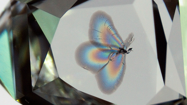 When light reflects from this crystal in a 1.01 ct diamond, the halo resembles a colorful butterfly. Photomicrograph by Tejas Jhaveri; field of view 2.90 mm.