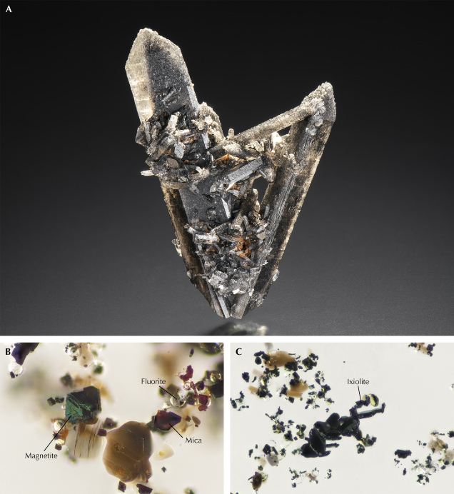 Figure 19. A: A black topaz crystal specimen from the Thomas Mountains in Utah, measuring 24.80 × 17.92 × 12.29 mm. Photo by Kevin Schumacher. B: Inclusions of black magnetite, colorless fluorite, and flaky mica in the black topaz. C: Clusters of tabular ixiolite. From Muyal et al. (2019); fields of view 0.288 mm (B) and 0.36 mm (C).