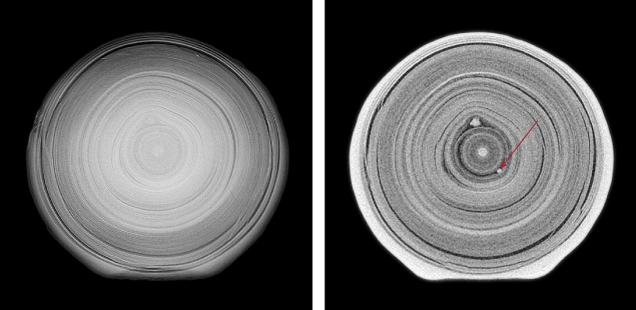 Figure 10. Compared to X-ray microradiography (left), additional fine details of a pearl’s internal growth structure such as small “seeds” (indicated by the arrow) can be detected by μ-CT (right). From Homkrajae et al. (2021b).